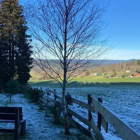 Chalet Authentique Au Calme, En Lisiere De Foret, Montagne, Sentiers 15Mn Gerardmer & Alsace 