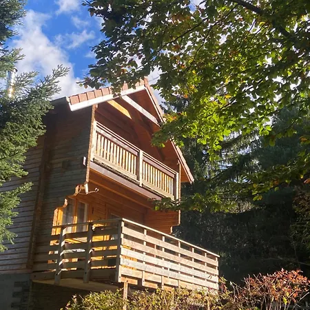 Chalet Authentique Au Calme, En Lisiere De Foret, Montagne, Sentiers 15Mn Gerardmer & Alsace 