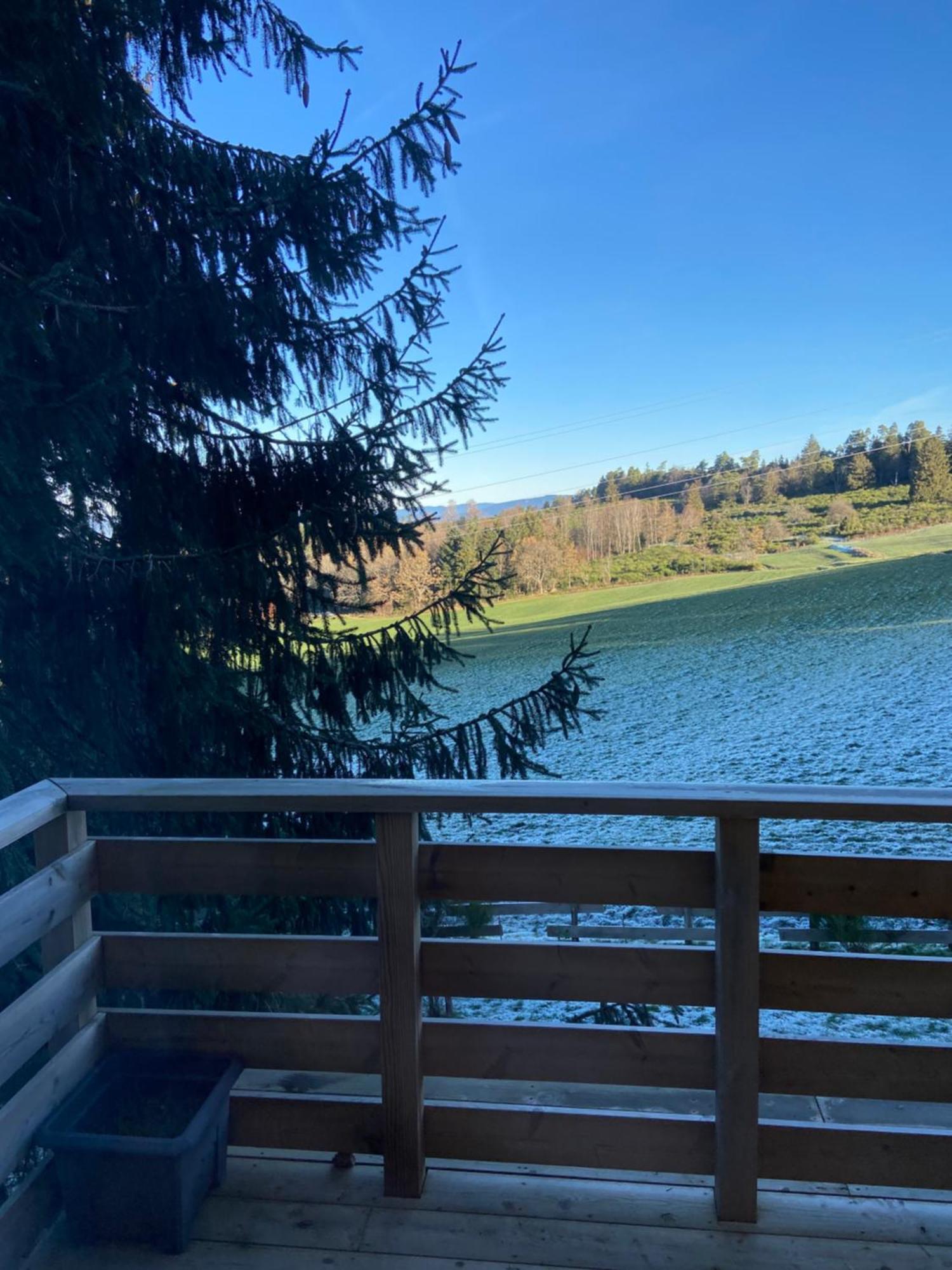 Authentique Au Calme, En Lisiere De Foret, Montagne, Sentiers 15mn Gerardmer & Alsace 