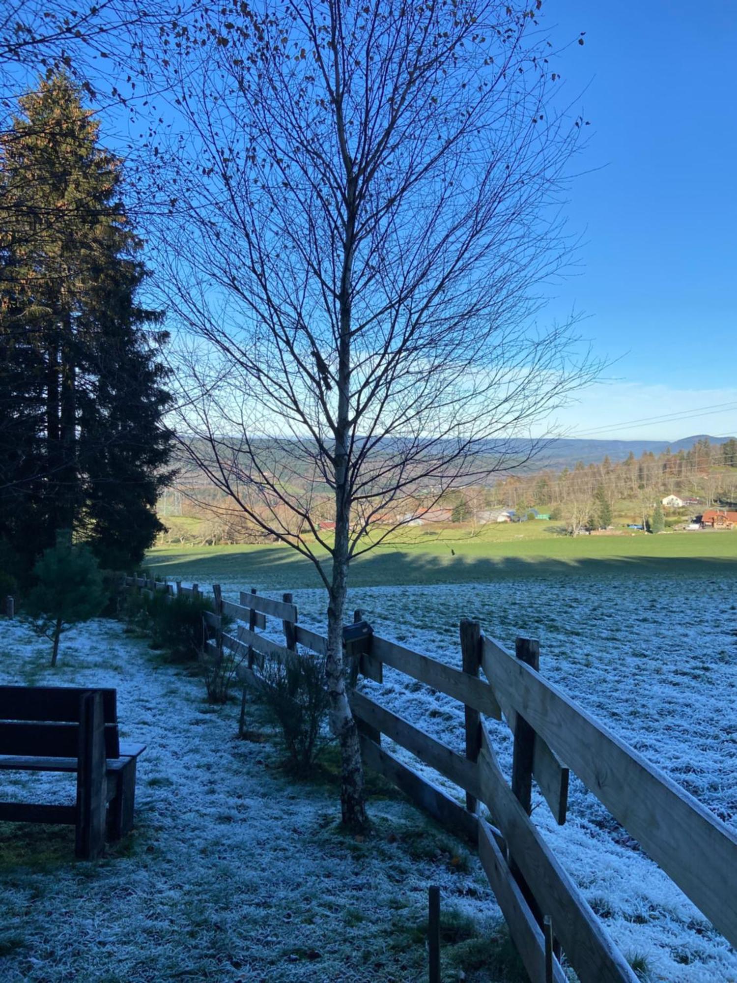 Authentique Au Calme, En Lisiere De Foret, Montagne, Sentiers 15mn Gerardmer & Alsace 