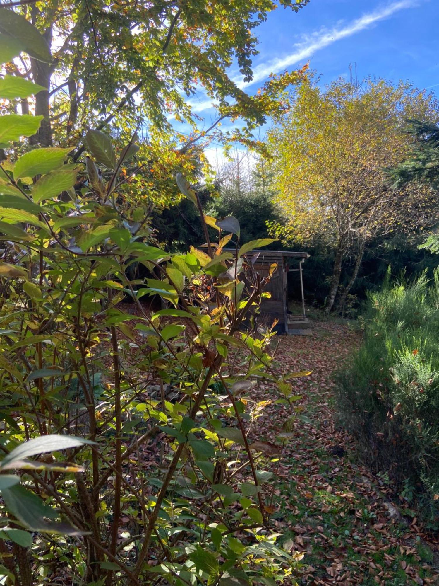 Chalet Authentique Au Calme, En Lisiere De Foret, Montagne, Sentiers 15mn Gerardmer & Alsace 