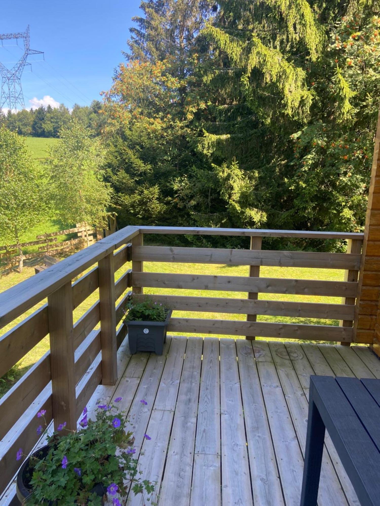 Authentique Au Calme, En Lisiere De Foret, Montagne, Sentiers 15mn Gerardmer & Alsace 