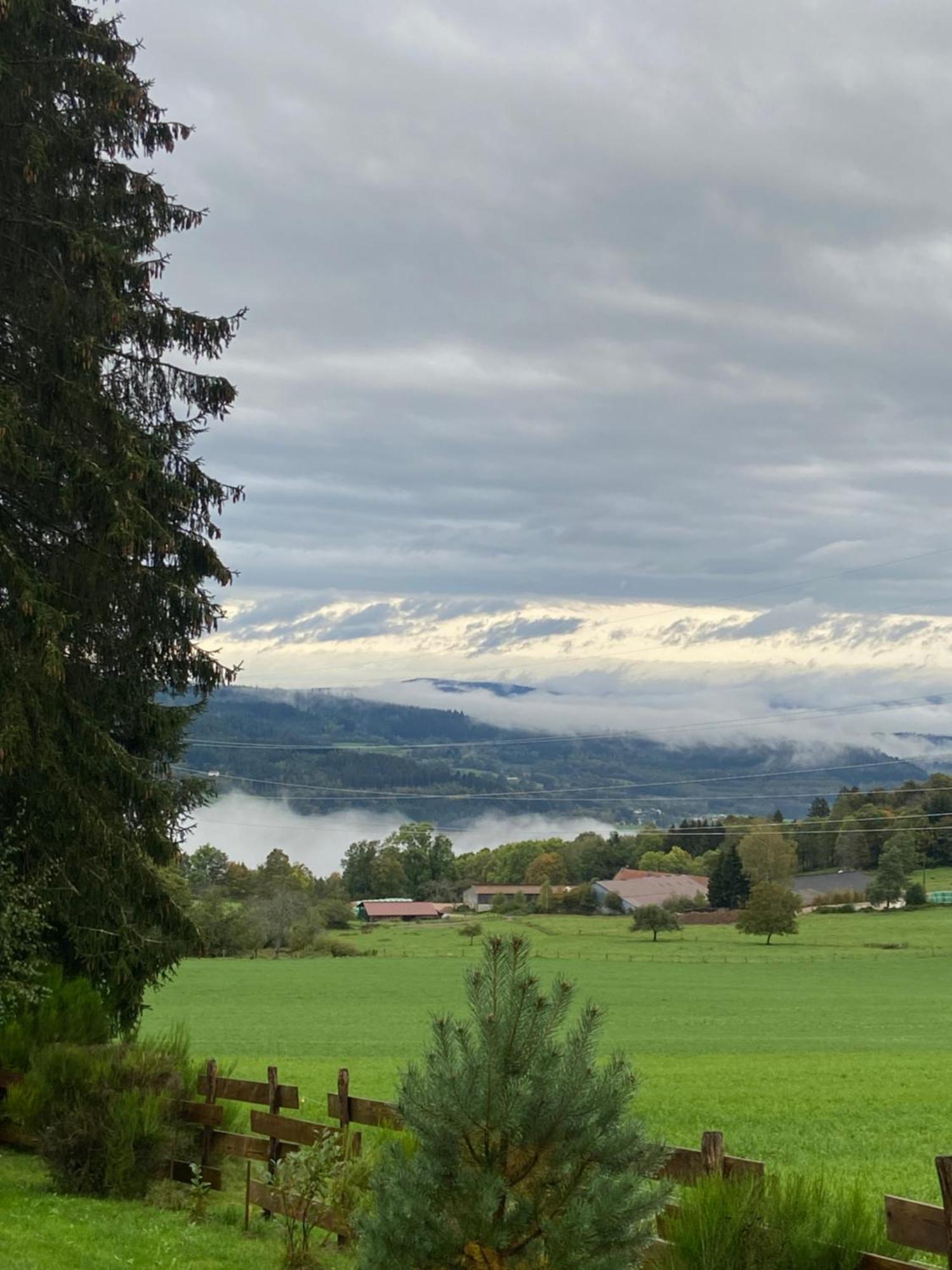 Authentique Au Calme, En Lisiere De Foret, Montagne, Sentiers 15mn Gerardmer & Alsace 