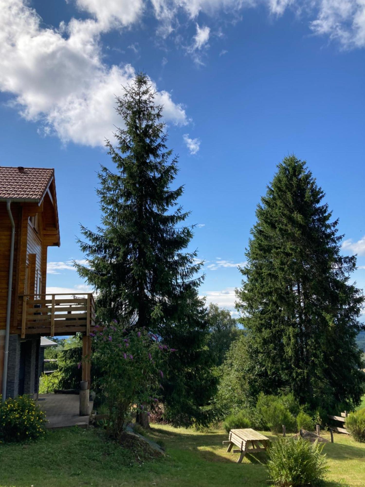Authentique Au Calme, En Lisiere De Foret, Montagne, Sentiers 15mn Gerardmer & Alsace 