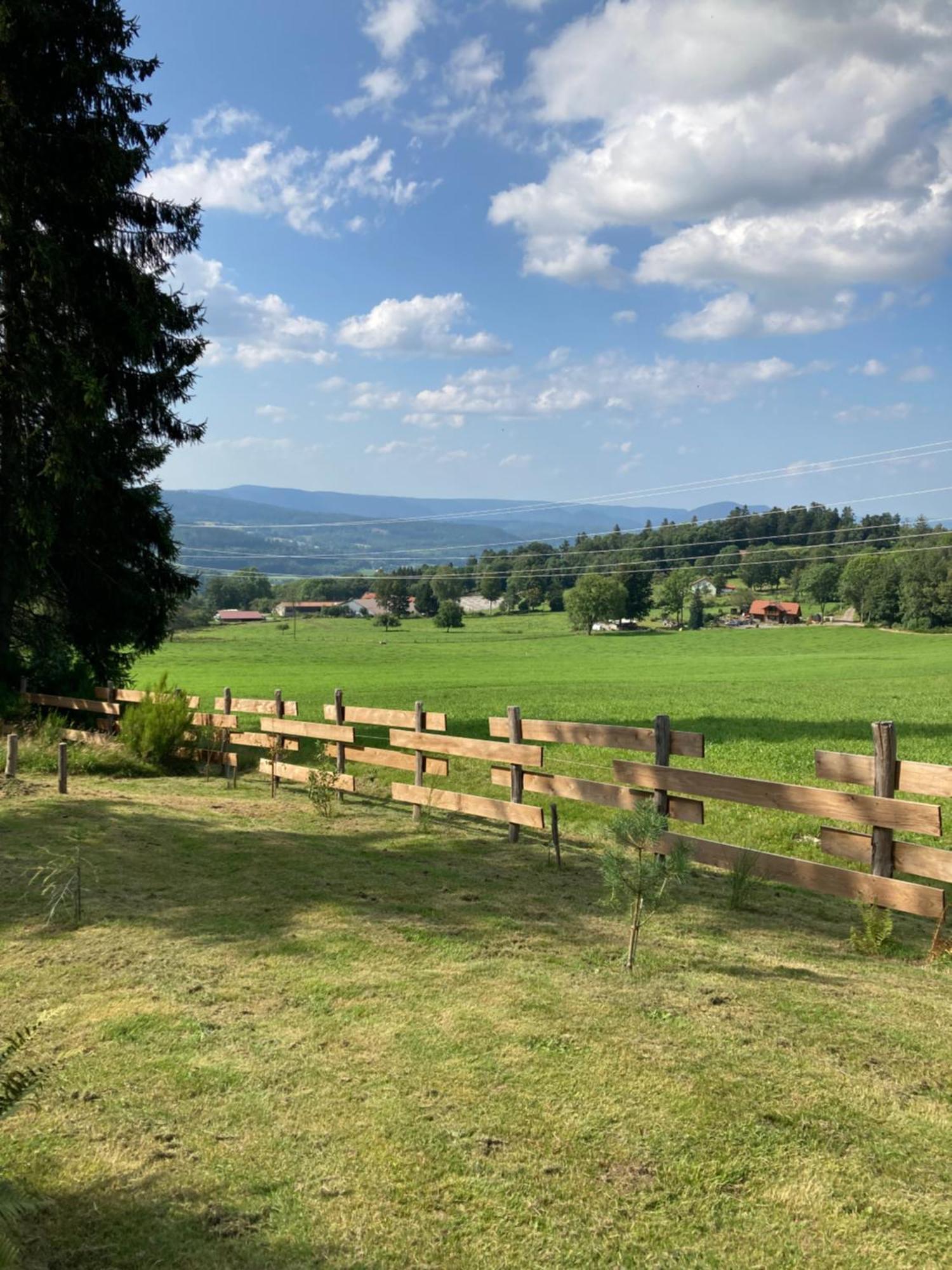 Authentique Au Calme, En Lisiere De Foret, Montagne, Sentiers 15mn Gerardmer & Alsace 