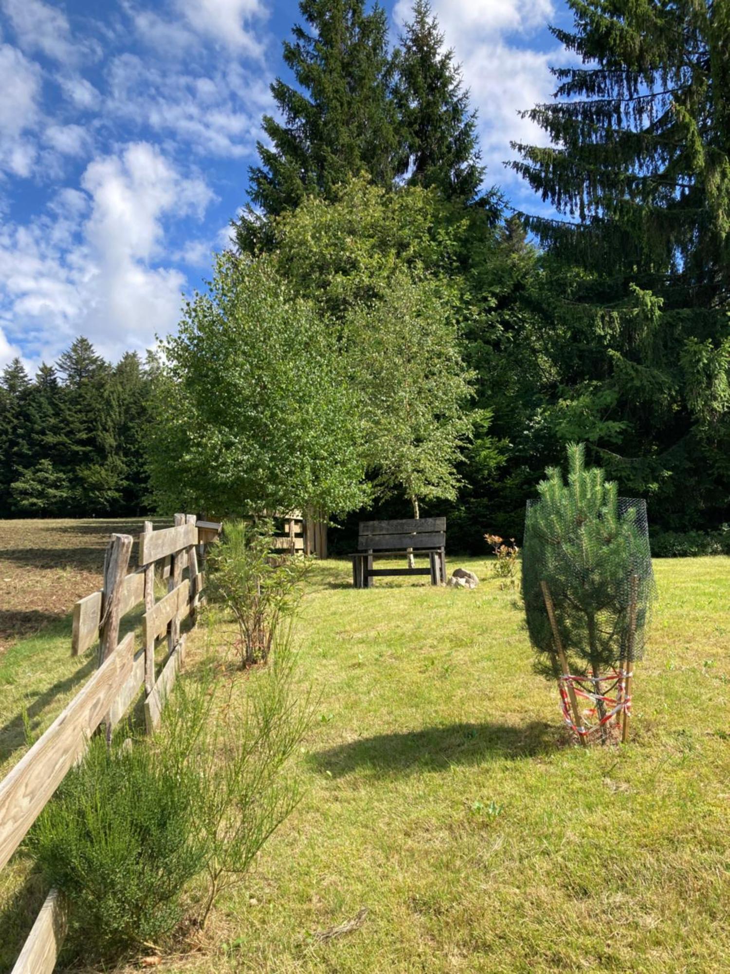 Chalet Authentique Au Calme, En Lisiere De Foret, Montagne, Sentiers 15mn Gerardmer & Alsace 