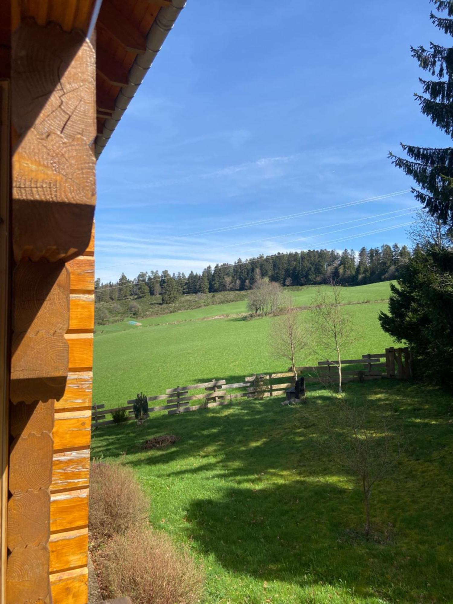 Authentique Au Calme, En Lisiere De Foret, Montagne, Sentiers 15mn Gerardmer & Alsace 