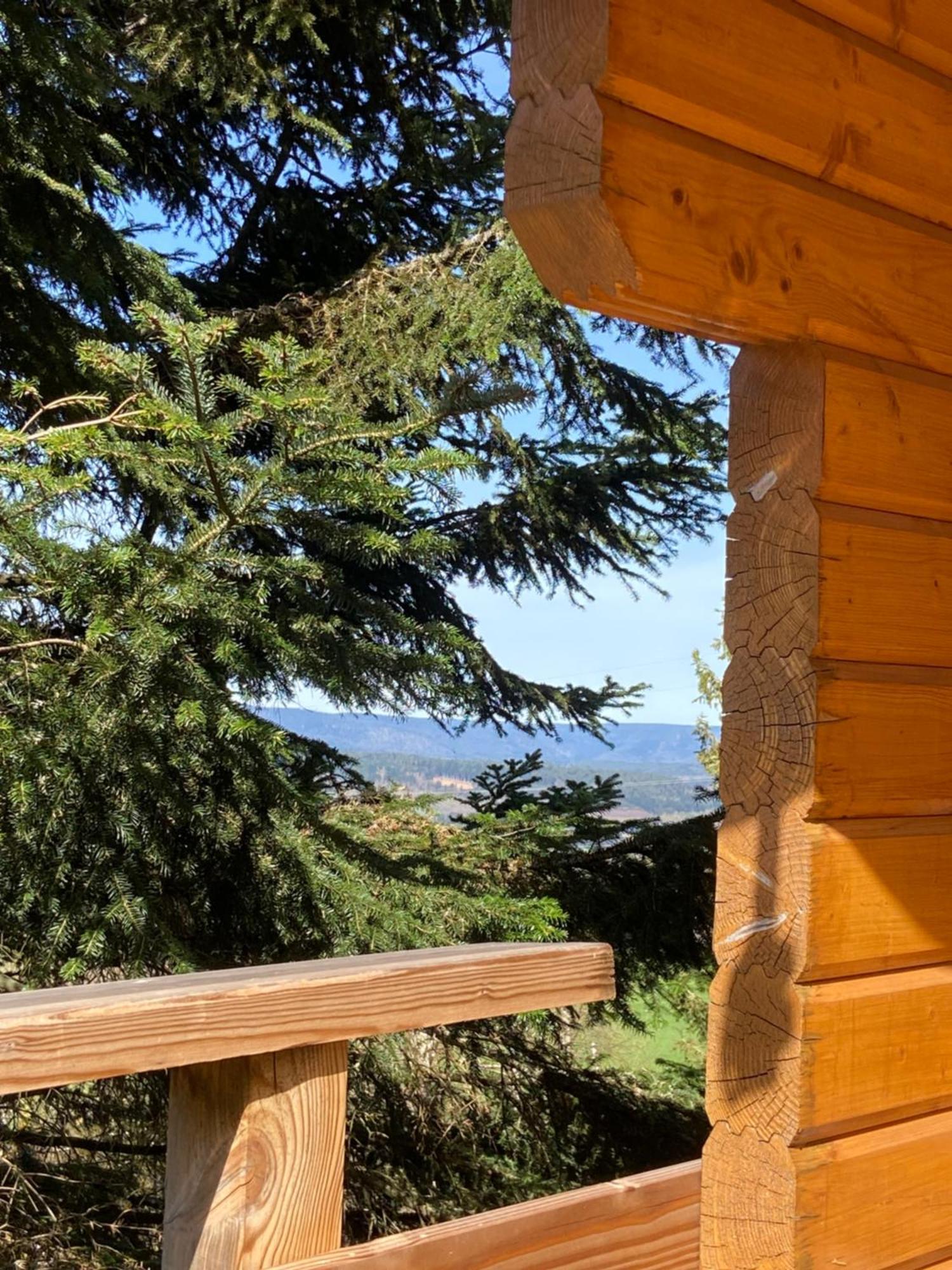 Authentique Au Calme, En Lisiere De Foret, Montagne, Sentiers 15mn Gerardmer & Alsace 