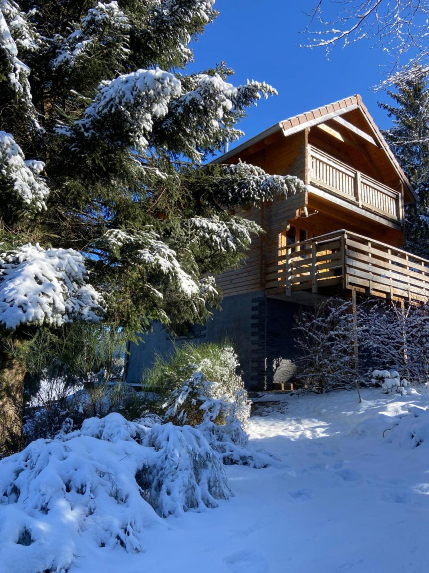 Authentique Au Calme, En Lisiere De Foret, Montagne, Sentiers 15mn Gerardmer & Alsace 