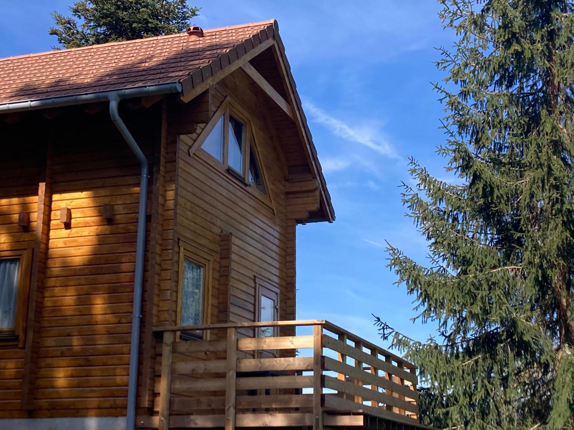 Authentique Au Calme, En Lisiere De Foret, Montagne, Sentiers 15mn Gerardmer & Alsace 