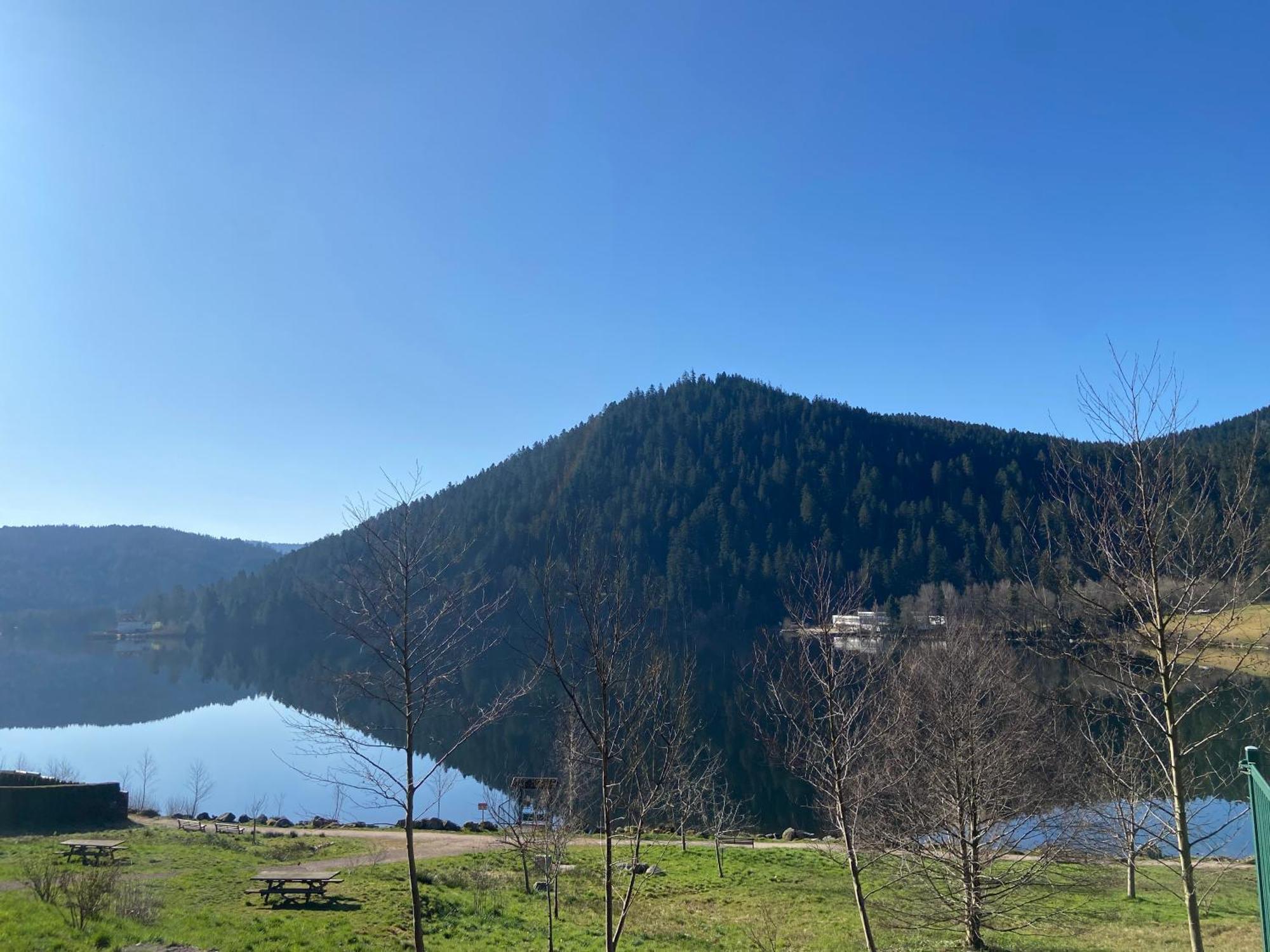 Chalet Authentique Au Calme, En Lisiere De Foret, Montagne, Sentiers 15mn Gerardmer & Alsace 