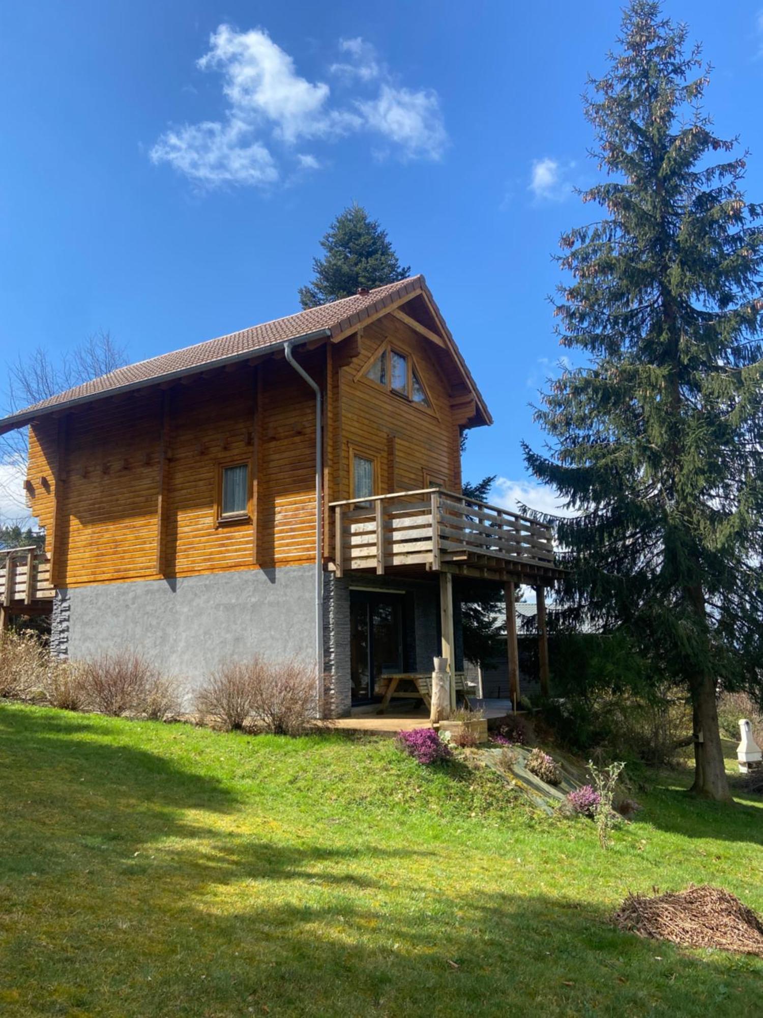 Authentique Au Calme, En Lisiere De Foret, Montagne, Sentiers 15mn Gerardmer & Alsace 