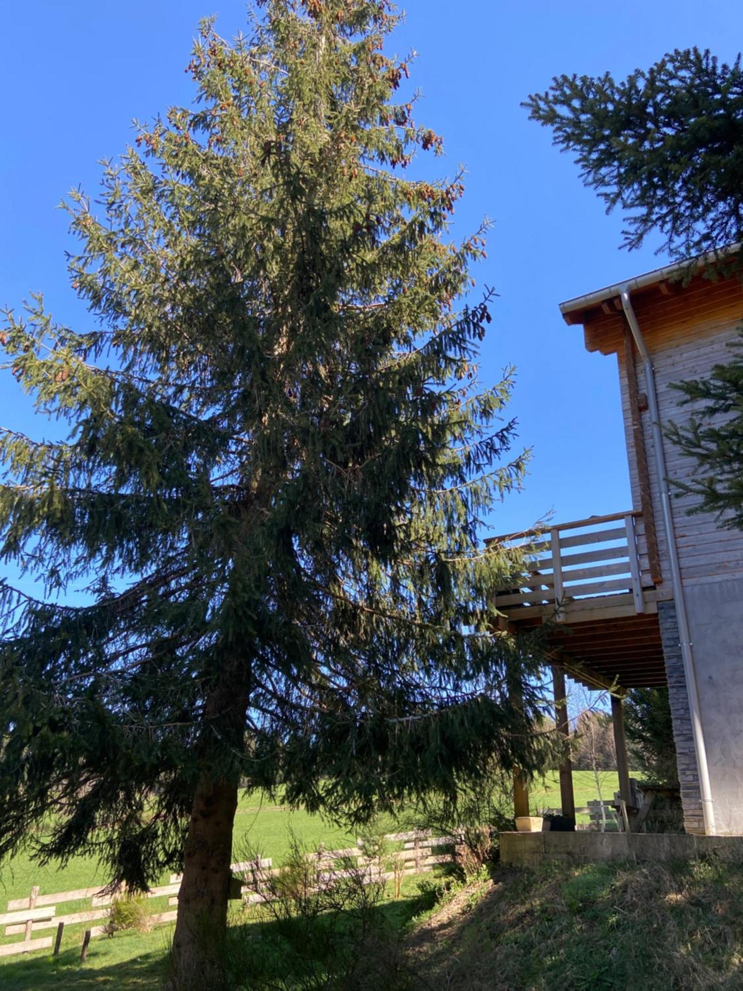 Authentique Au Calme, En Lisiere De Foret, Montagne, Sentiers 15mn Gerardmer & Alsace 