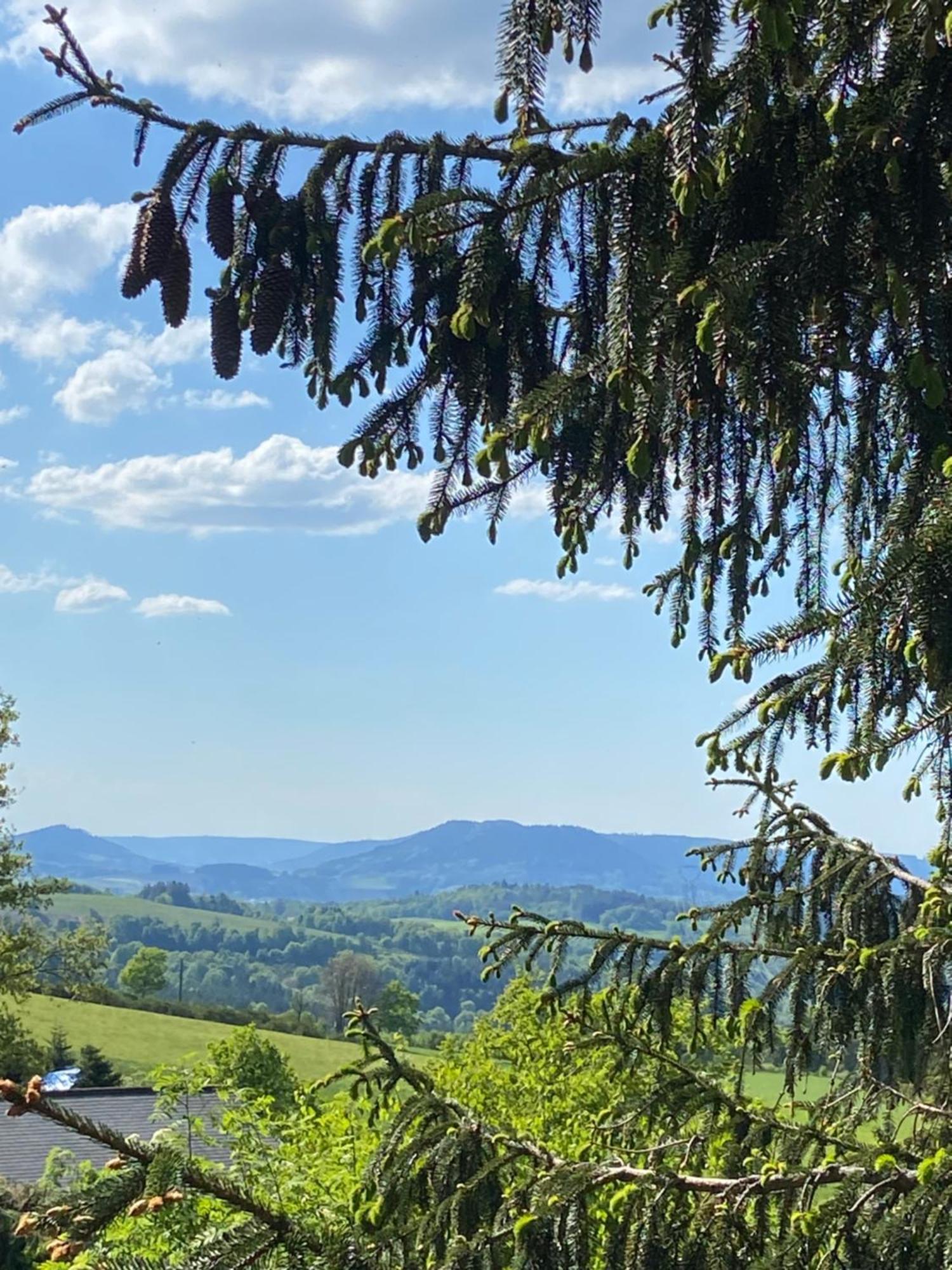 Authentique Au Calme, En Lisiere De Foret, Montagne, Sentiers 15mn Gerardmer & Alsace 