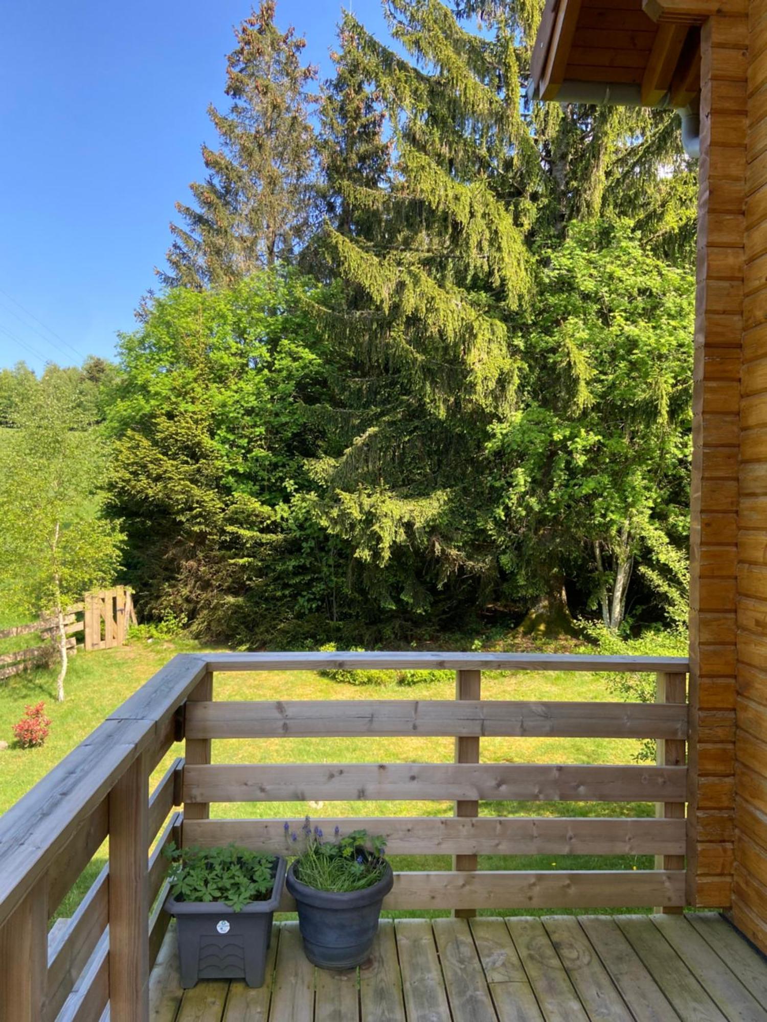 Authentique Au Calme, En Lisiere De Foret, Montagne, Sentiers 15mn Gerardmer & Alsace 
